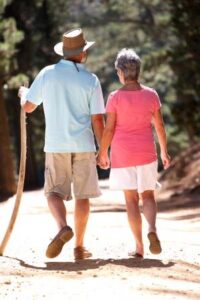 Finding the Perfect Walking Stick Image